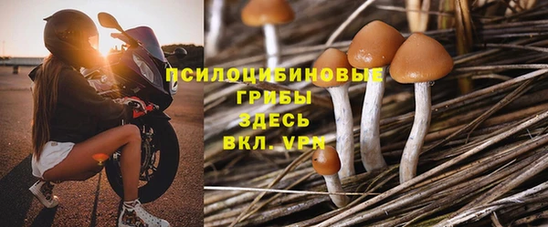 apvp Арсеньев