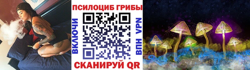 Купить  Сертолово  Псилоцибиновые грибы Cubensis 